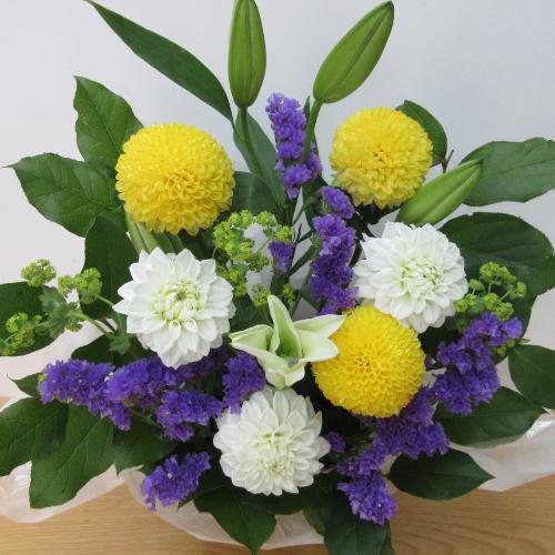 �����e�ƕS�����������������A�����W�����g3