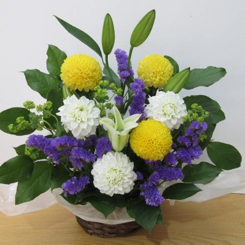 �����e�ƕS�����������������A�����W�����g4