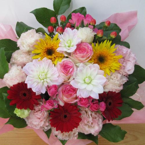 �L���[�g�ȃs���N�ƐԂ̃A�����W�����g�B4