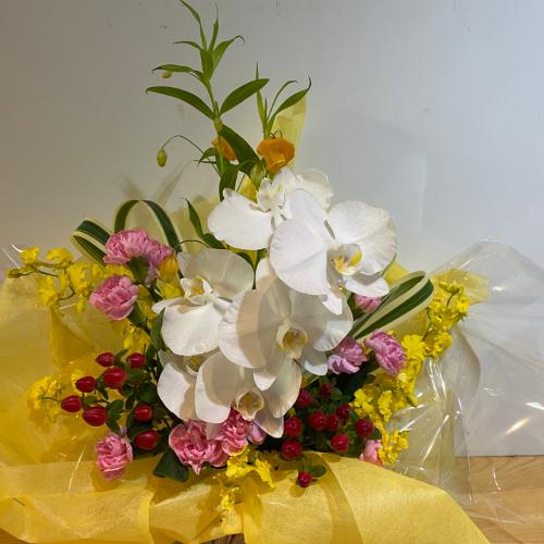 �K���̌Ӓ����ƃs���N�̃A�����W�����g3