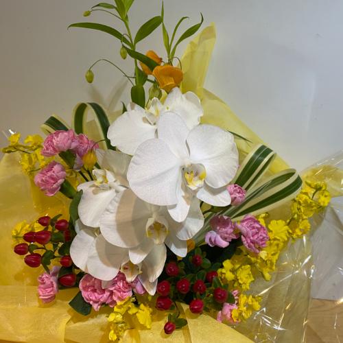 �K���̌Ӓ����ƃs���N�̃A�����W�����g4