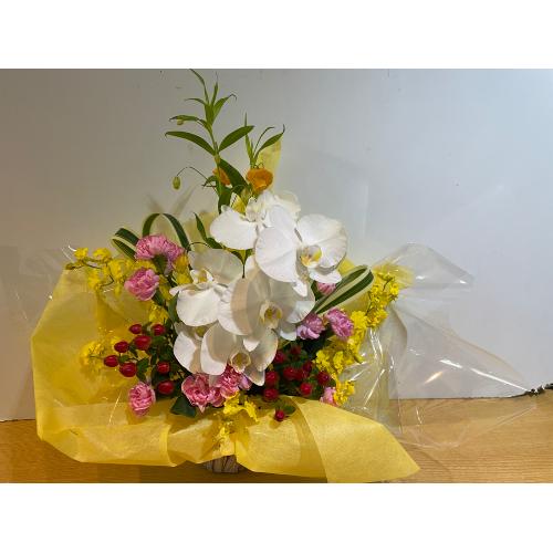 �K���̌Ӓ����ƃs���N�̃A�����W�����g5