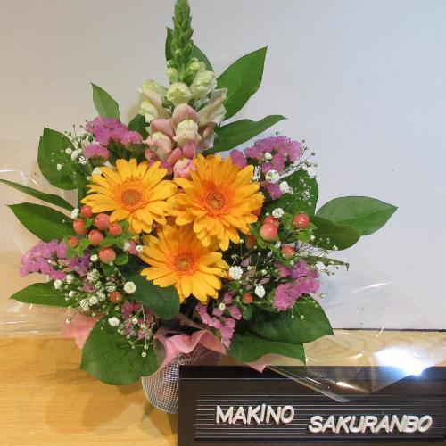 �I�����W�ƃs���N�̃L���[�g�A�����W�����g