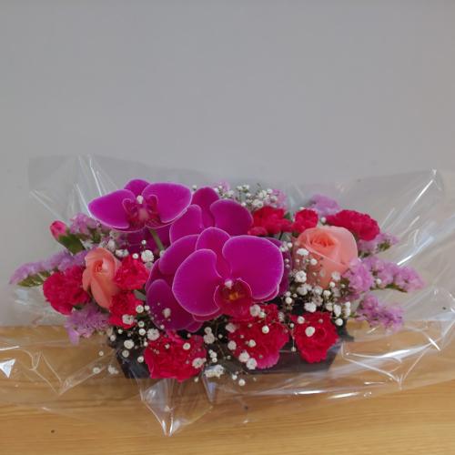 �Ӓ�������I�o���ƃJ�[�l�[�V�����ƈꏏ�ɁI�I