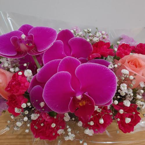 �Ӓ�������I�o���ƃJ�[�l�[�V�����ƈꏏ�ɁI�I3