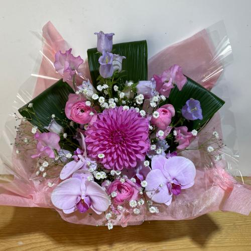 �����Ӓ����Ɖ����s���N�̍K���̃A�����W�����g5