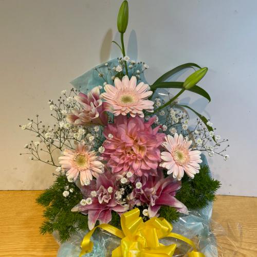 �D�����s���N�̃L���[�g�ȃA�����W�����g2
