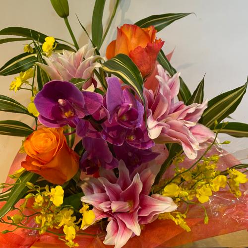 ���X�l�C�̔��d�炫�S���I�ƌӒ����̃A�����W�����g4