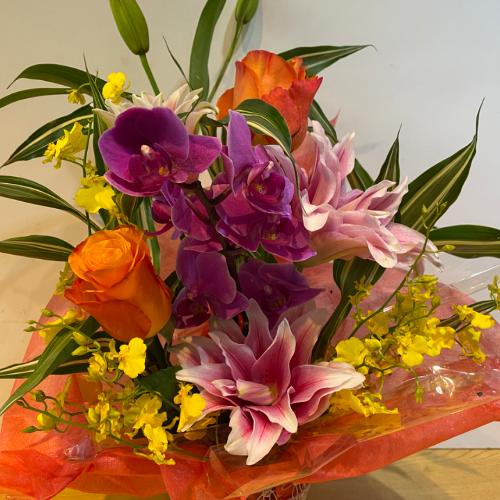 ���X�l�C�̔��d�炫�S���I�ƌӒ����̃A�����W�����g5