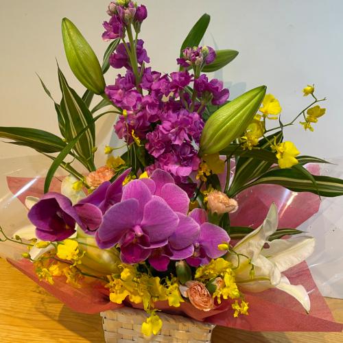 ���̕S���ƌӒ������������A�����W�����g�I4