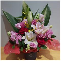 ���d�炫�S���ƐԂ��o���̃A�����W�����g