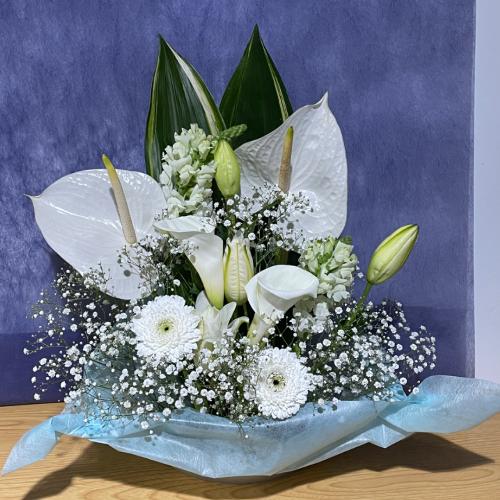 �A���X�����[�����C���̍��؂Ȃ������A�����W�����g5