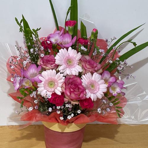 �s���N�K�[�x���ƕ��F�̃o���̐l�C�̃A�����W�����g2