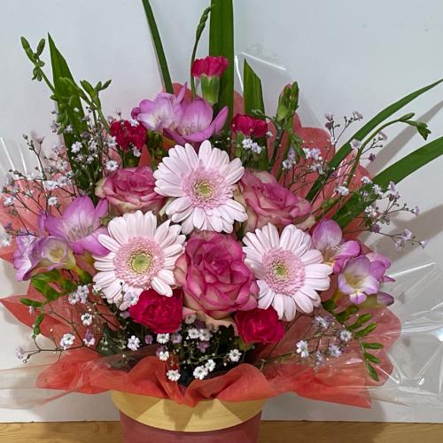 �s���N�K�[�x���ƕ��F�̃o���̐l�C�̃A�����W�����g3