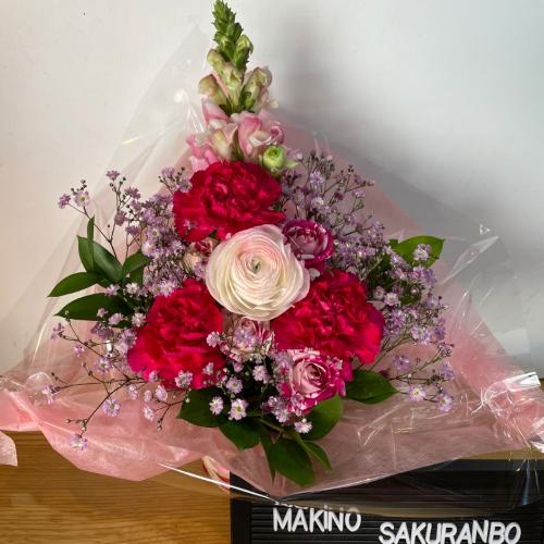 �s���N�Ɣ��̉������͋C�̃A�����W�����g