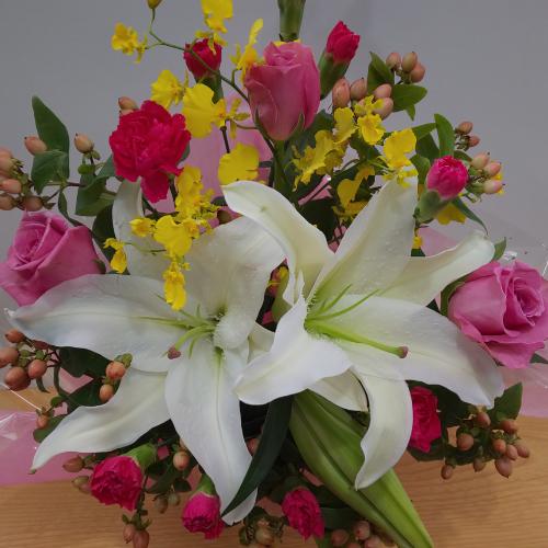�S���ƃo���̍��؂ȃA�����W�����g�I4