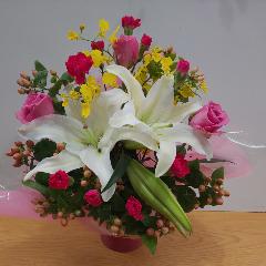 �S���ƃo���̍��؂ȃA�����W�����g�I