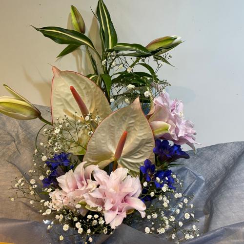 �A���X�����[���Ɣ��d�̕S���̂������A�����W�����g3