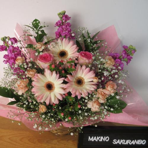 ���ƃs���N�̉��������Q�̃A�����W�����g�I