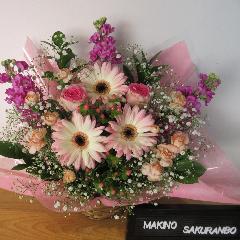 ���ƃs���N�̉��������Q�̃A�����W�����g�I