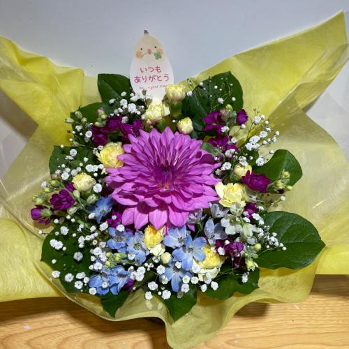 �_���A���L���C�ŁA�����F�����̍��؂ȃA�����W�����g2