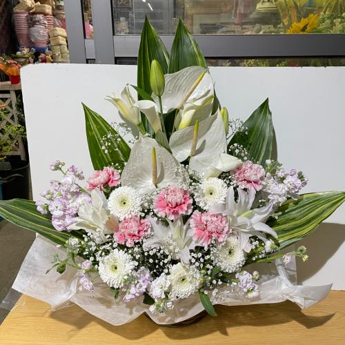 �s���N����ꂽ�A���؂Ȃ������A�����W�����g�i�A���X�����[���j