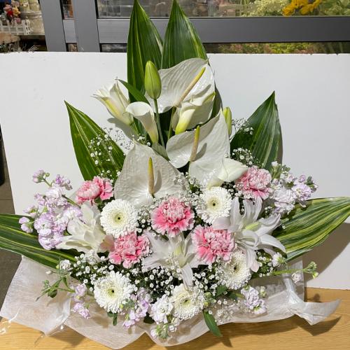 �s���N����ꂽ�A���؂Ȃ������A�����W�����g�i�A���X�����[���j3