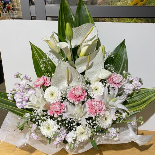 �s���N����ꂽ�A���؂Ȃ������A�����W�����g�i�A���X�����[���j4