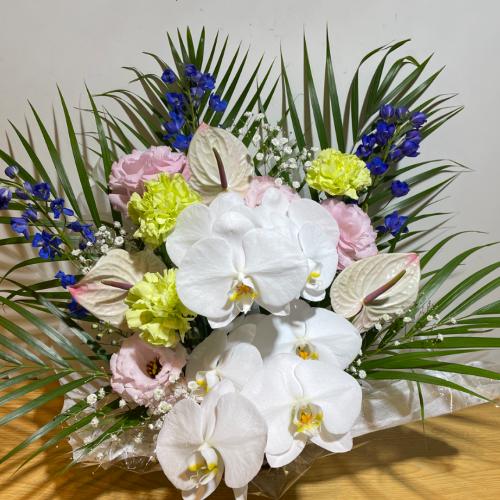 ��������̌Ӓ����ƃA���X�����[���̂������A�����W�����g2