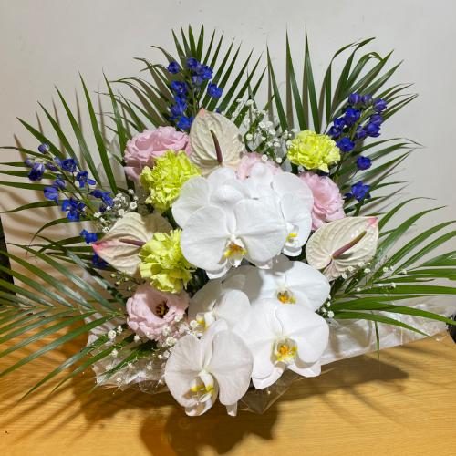 ��������̌Ӓ����ƃA���X�����[���̂������A�����W�����g3