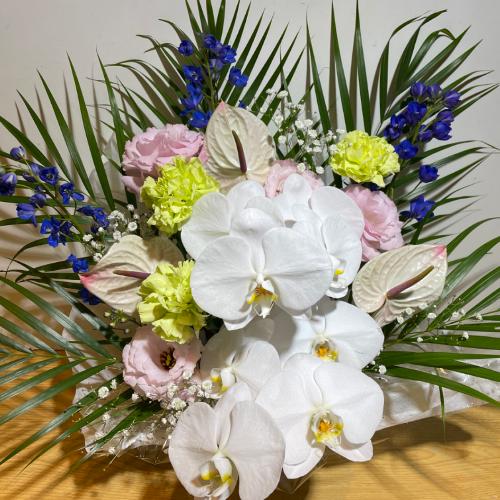 ��������̌Ӓ����ƃA���X�����[���̂������A�����W�����g4