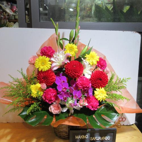 �Ӓ����ƃJ���t���ȃA�����W�����g