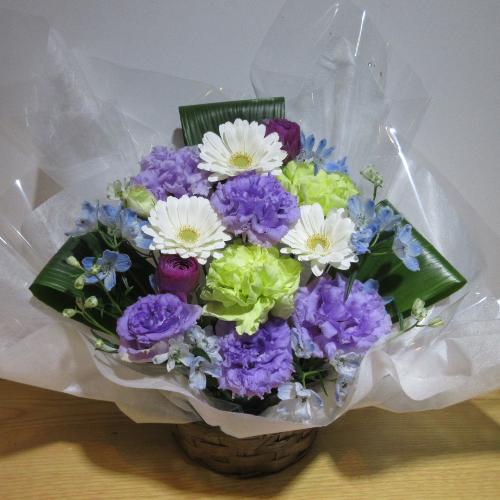 �g���R�L�L���E���C���I�p�[�v�����u���[�̂������A�����W�����g5
