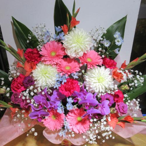�s���N�����C��!�Ӓ��������!�J���t�����؂ȃA�����W�����g3