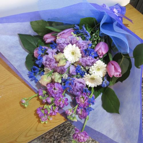 �g���R�L�L���E���f�G�ȃp�[�v���n�̉ԑ��I5