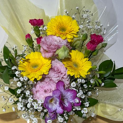 ���F�̃K�[�x���ƃg���R�L�L���E�̃A�����W�����g�I3