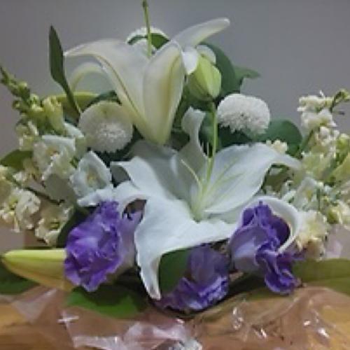���؁I�S���Ƌe�̂������A�����W�����g3