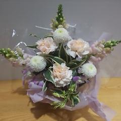 �����䋟���@�A�����W�����g