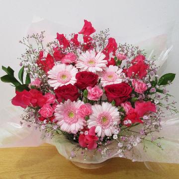 �X�^�b�t�摜