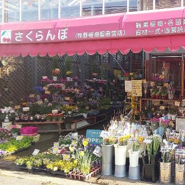 �ԉ�����͂��z�B�I�ԑ��Ȃǃt�����[�M�t�g�́y�t�W�e���r�t�����[�l�b�g�z