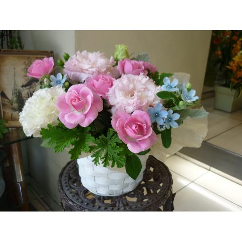 Pure��`��ݸ�E�u���[�`2