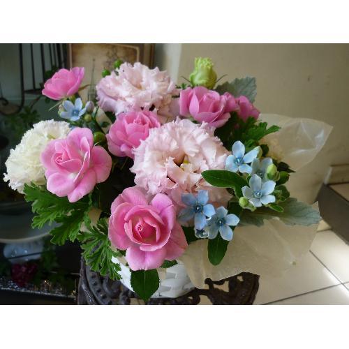 Pure��`��ݸ�E�u���[�`4