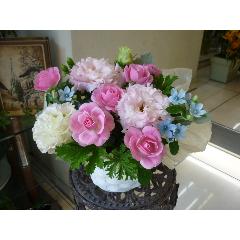 Pure��`��ݸ�E�u���[�`