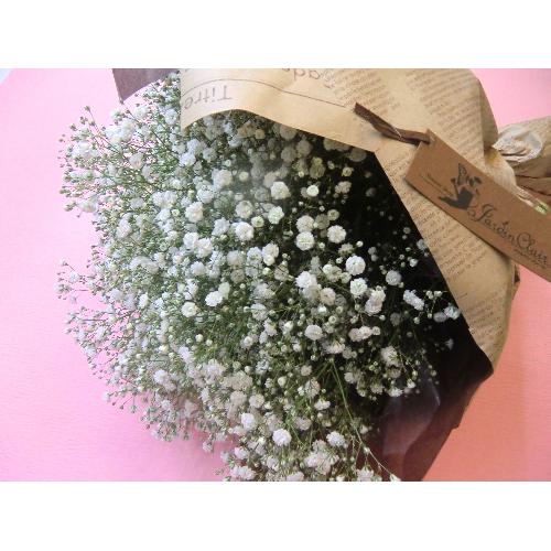 ��Baby's breath��