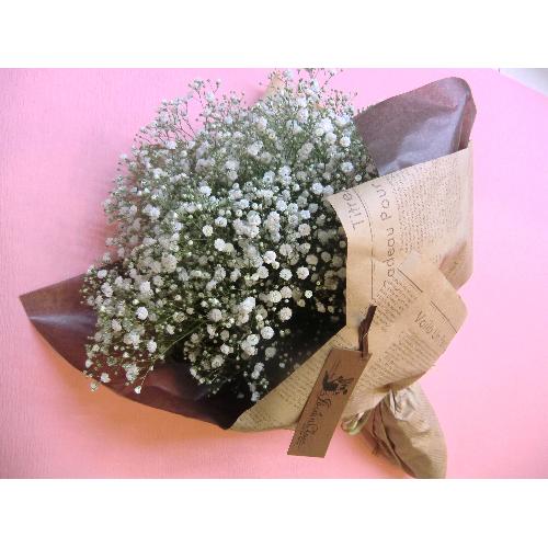 ��Baby's breath��3