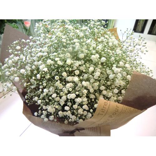 ��Baby's breath��4
