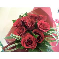 �i���̈��`9 red roses