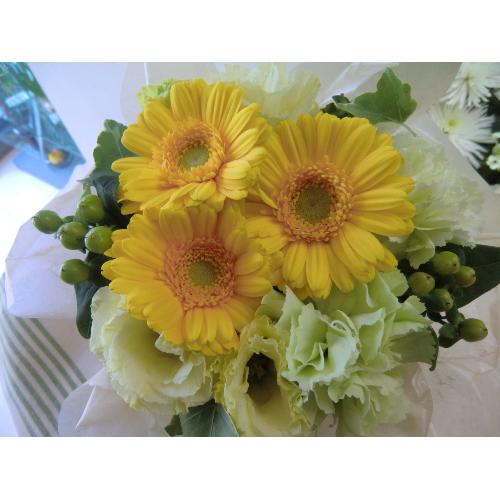 ��Refreshing���C�G���[�E�O���[��4