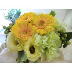 ��Refreshing���C�G���[�E�O���[��