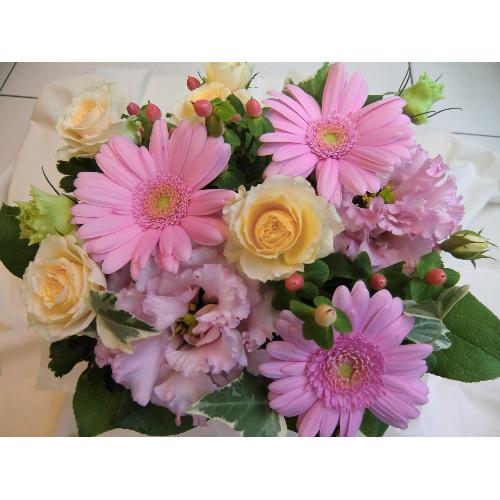 ��Pink �m�������������@��2